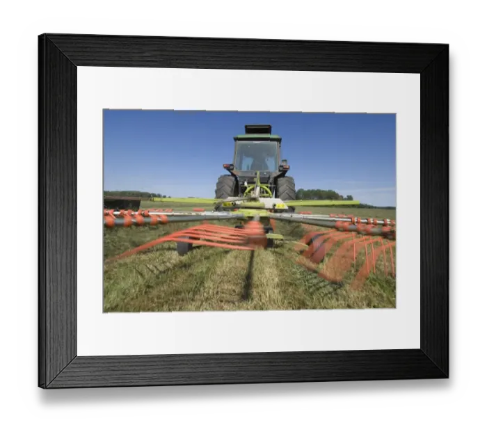 Framed Print : Tractor with Cls Liner 350 rotary rake, turning cut grass for silage crop, Sweden Framed Print : Tractor with Cls Liner 350 rotary rake, turning cut grass for silage crop, Sweden