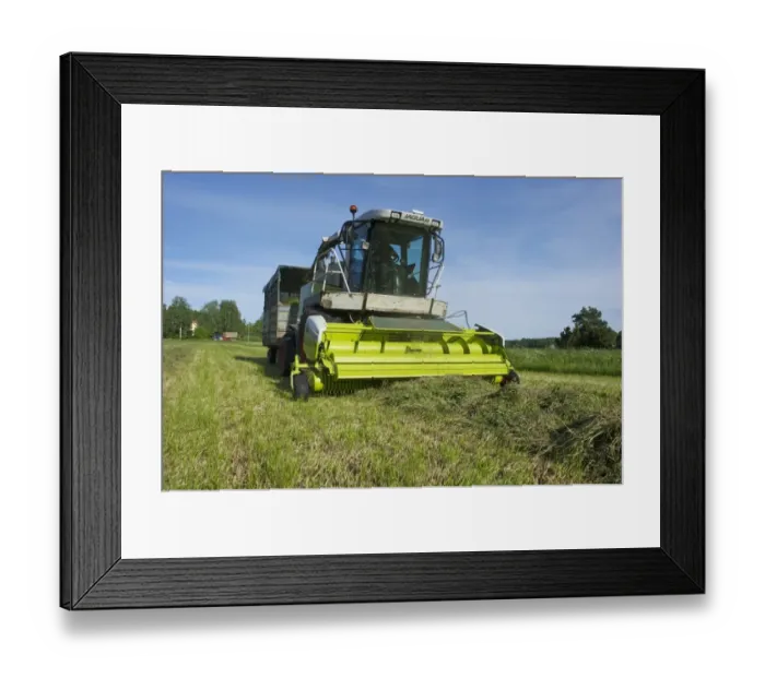 Framed Print : Cls Jaguar 850 forage harvester, cutting grass for silage and loading wagon, Alunda, Uppsala, Sweden, june Framed Print : Cls Jaguar 850 forage harvester, cutting grass for silage and loading wagon, Alunda, Uppsala, Sweden, june