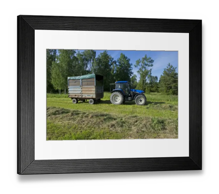 Framed Print : Tractor with wagon of grass for silage, in cut field, Alunda, Uppsala, Sweden, june Framed Print : Tractor with wagon of grass for silage, in cut field, Alunda, Uppsala, Sweden, june