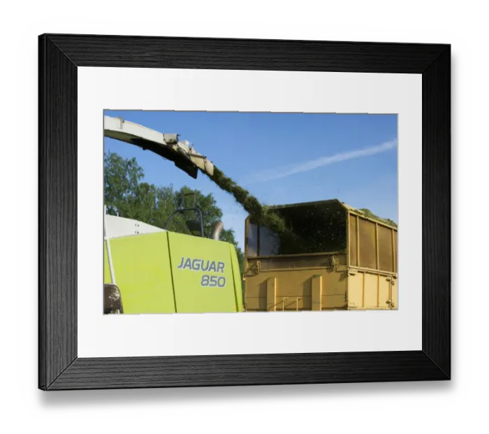 Framed Print : Cls Jaguar 850 forage harvester, cutting grass for silage and loading wagon, Alunda, Uppsala, Sweden, june Framed Print : Cls Jaguar 850 forage harvester, cutting grass for silage and loading wagon, Alunda, Uppsala, Sweden, june