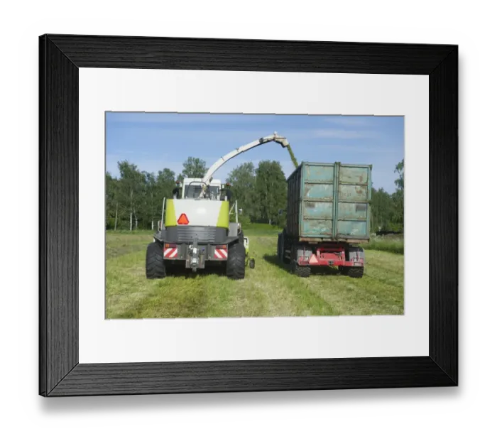 Framed Print : Cls Jaguar 850 forage harvester, cutting grass for silage and loading wagon, Alunda, Uppsala, Sweden, june Framed Print : Cls Jaguar 850 forage harvester, cutting grass for silage and loading wagon, Alunda, Uppsala, Sweden, june