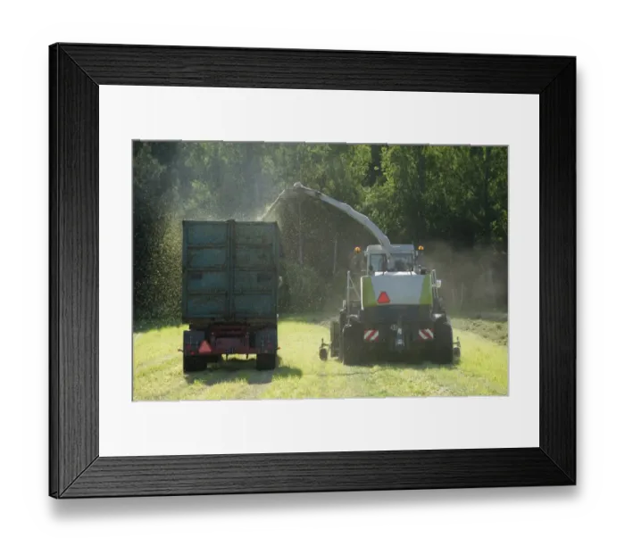 Framed Print : Cls Jaguar 850 forage harvester, cutting grass for silage and loading wagon, Alunda, Uppsala, Sweden, june Framed Print : Cls Jaguar 850 forage harvester, cutting grass for silage and loading wagon, Alunda, Uppsala, Sweden, june