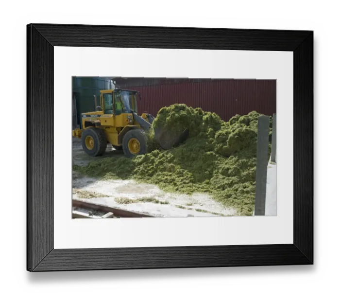Framed Print : Volvo L70C wheel loader, loading cut grass into silage storage tower, Alunda, Uppsala, Sweden, june Framed Print : Volvo L70C wheel loader, loading cut grass into silage storage tower, Alunda, Uppsala, Sweden, june