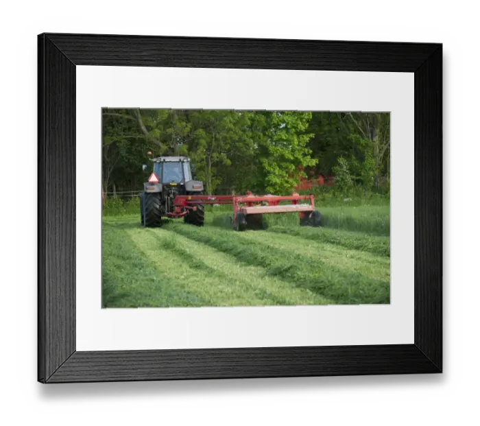 Framed Print : Massey Ferguson tractor with Kverneland mower, cutting grass silage crop, Sweden, june Framed Print : Massey Ferguson tractor with Kverneland mower, cutting grass silage crop, Sweden, june