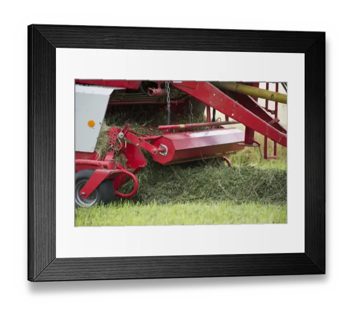 Framed Print : Silage crop, round baler taking up cut grass to make bale, Sweden, august