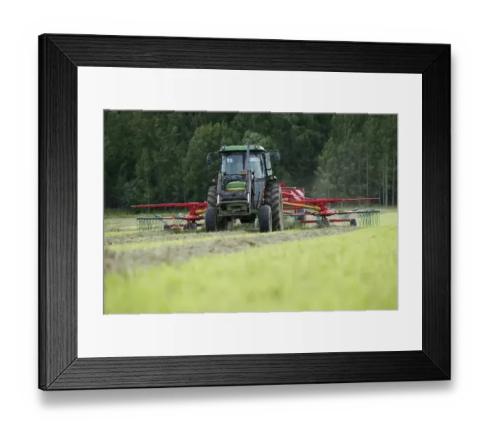 Framed Print : Silage crop, John Deere tractor with double turner, turning cut grass for silage, Sweden, august