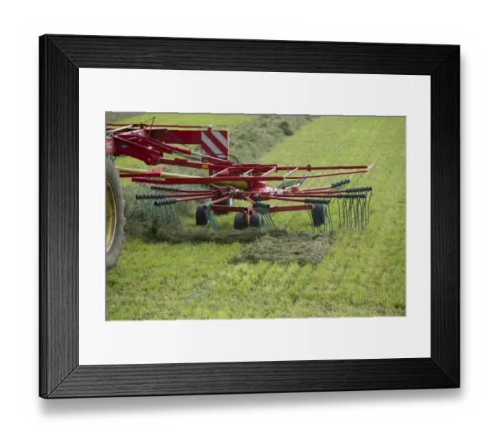 Framed Print : Silage crop, double turner, turning cut grass for silage, Sweden, august Framed Print : Silage crop, double turner, turning cut grass for silage, Sweden, august