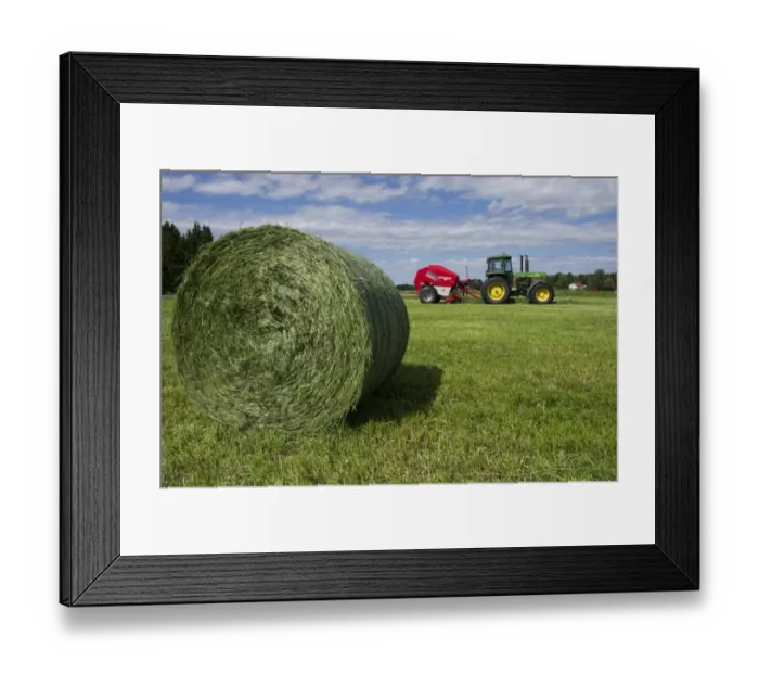 Framed Print : Round silage bale, with John Deere 4455 tractor and Welger baler, Sweden, june Framed Print : Round silage bale, with John Deere 4455 tractor and Welger baler, Sweden, june