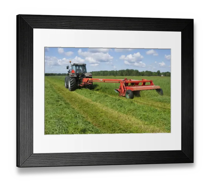 Framed Print : Tractor with mower, cutting grass for silage, Sweden, july Framed Print : Tractor with mower, cutting grass for silage, Sweden, july