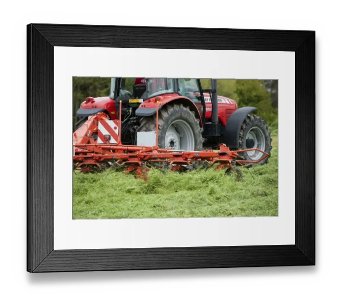 Framed Print : Massey Ferguson tractor with tedder working in field of newly mown grass for silage, Cumbria, England, May Framed Print : Massey Ferguson tractor with tedder working in field of newly mown grass for silage, Cumbria, England, May