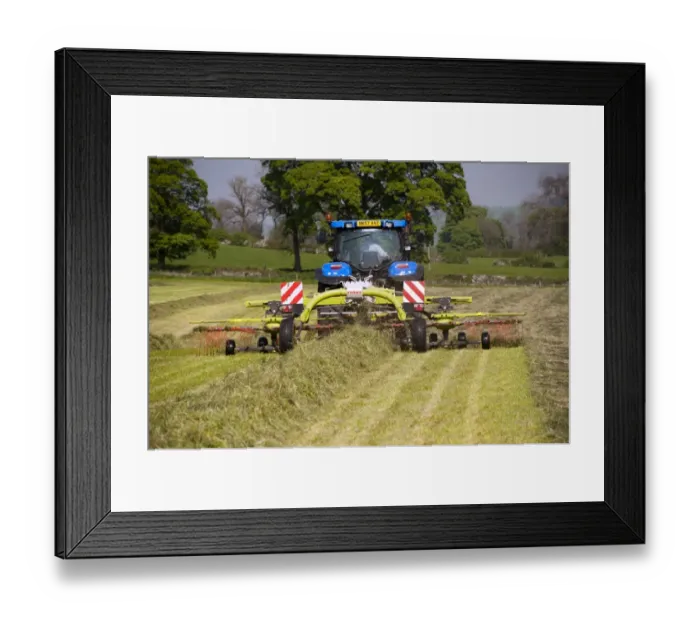 Framed Print : New Holland tractor with Cls grass rake, rowing grass up in silage field, Northumberland, England, May