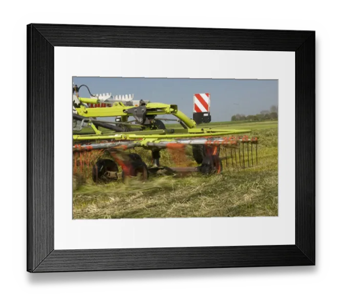 Framed Print : Cls grass rake, rowing grass up in silage field, Northumberland, England, May Framed Print : Cls grass rake, rowing grass up in silage field, Northumberland, England, May