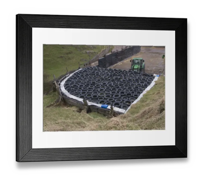 Framed Print : Silage clamp covered in car tyres, with John Deere tractor, Bootle, Cumbria, England, March Framed Print : Silage clamp covered in car tyres, with John Deere tractor, Bootle, Cumbria, England, March