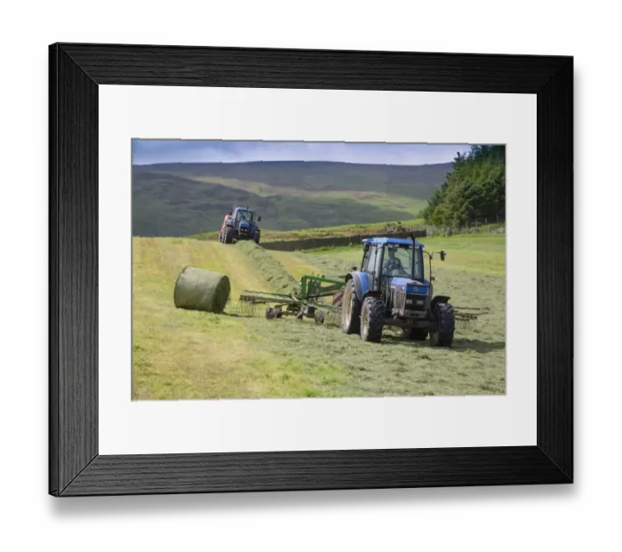 Framed Print : Tractors rowing and baling haylage in field, Chipping, Forest of Bowland, Lancashire, England, June Framed Print : Tractors rowing and baling haylage in field, Chipping, Forest of Bowland, Lancashire, England, June