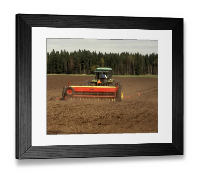 Framed Print : Sowing, Sweden