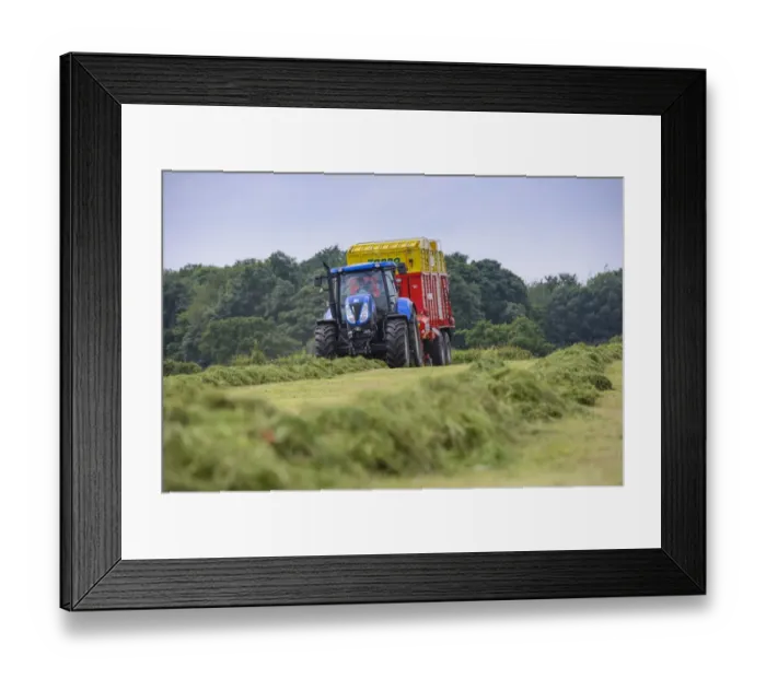 Framed Print : Tractor with forage wagon picking up mowed grass, Grimsargh, Preston, Lancashire, England, July Framed Print : Tractor with forage wagon picking up mowed grass, Grimsargh, Preston, Lancashire, England, July