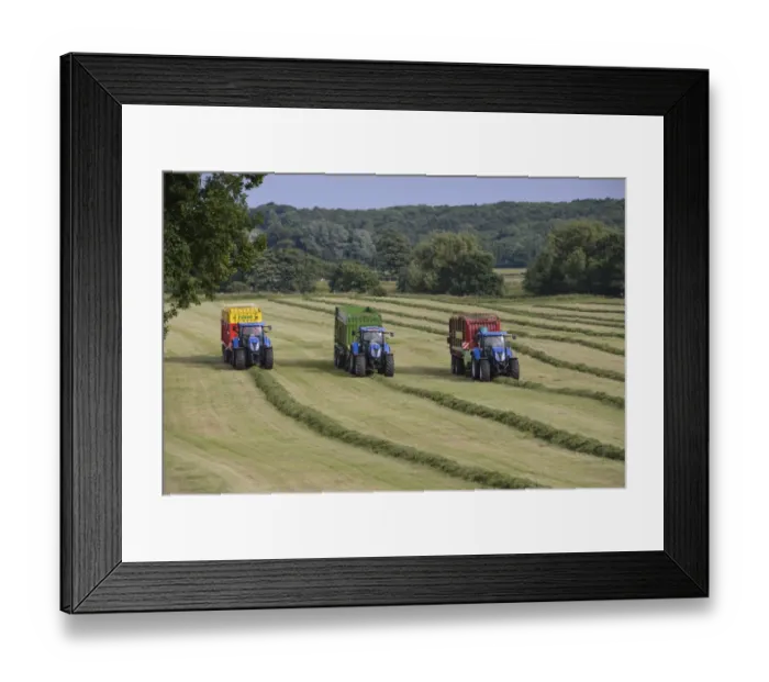 Framed Print : Three tractors with forage wagons picking up mowed grass, Grimsargh, Preston, Lancashire, England, July Framed Print : Three tractors with forage wagons picking up mowed grass, Grimsargh, Preston, Lancashire, England, July