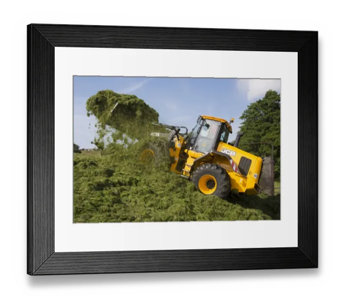 Framed Print : JCB loader compressing grass silage clamp, Grimsargh, Preston, Lancashire, England, July Framed Print : JCB loader compressing grass silage clamp, Grimsargh, Preston, Lancashire, England, July