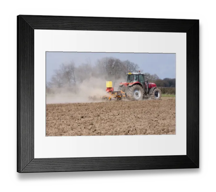 Framed Print : Massey Ferguson tractor cultivating and drilling grass seed during dry dusty conditions, Oulton, Cheshire, England Framed Print : Massey Ferguson tractor cultivating and drilling grass seed during dry dusty conditions, Oulton, Cheshire, England