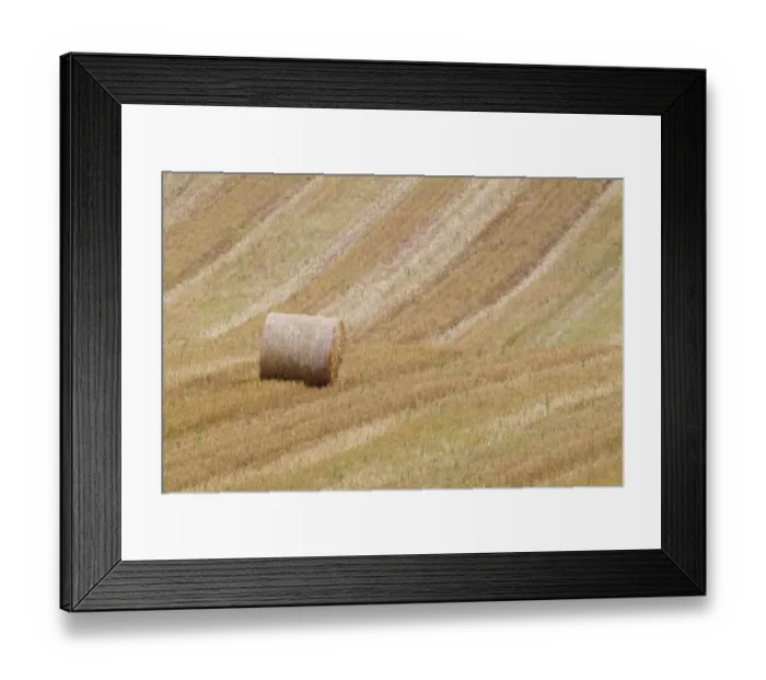Framed Print : Round straw bale in stubble field, Berwickshire, Scottish Borders, Scotland, October Framed Print : Round straw bale in stubble field, Berwickshire, Scottish Borders, Scotland, October