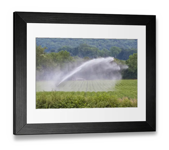 Framed Print : Crop irrigation, waterwheel travelling irrigator system in commercial Potato (Solanum tuberosum) field, Clyro