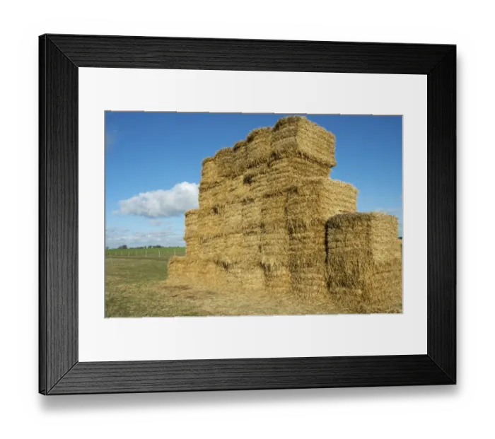 Framed Print : Big bale straw stack in field, Sweden, October Framed Print : Big bale straw stack in field, Sweden, October