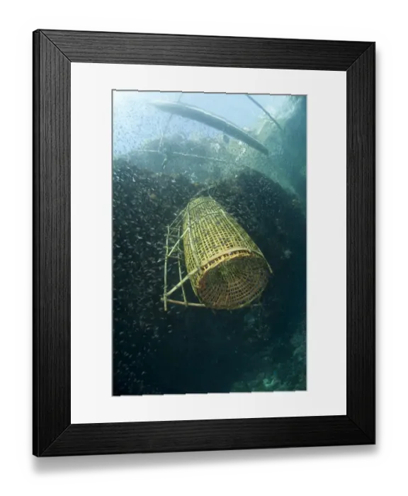 Framed Print : Fish basket being raised onto fishing boat, Crucifixion Point, Pantar Island, Alor Archipelago, Lesser Sunda Islands Framed Print : Fish basket being raised onto fishing boat, Crucifixion Point, Pantar Island, Alor Archipelago, Lesser Sunda Islands