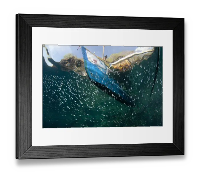 Framed Print : Fisherman with fish basket on fishing boat above and fish shoal below surface of water, Crucifixion Point Framed Print : Fisherman with fish basket on fishing boat above and fish shoal below surface of water, Crucifixion Point