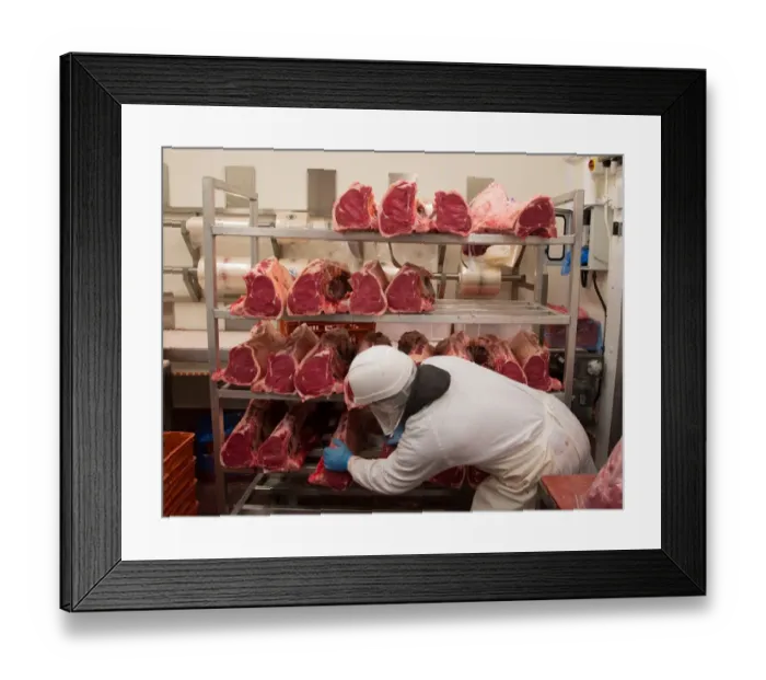 Framed Print : Worker with sirloin joints of beef in abattoir, Yorkshire, England, February Framed Print : Worker with sirloin joints of beef in abattoir, Yorkshire, England, February