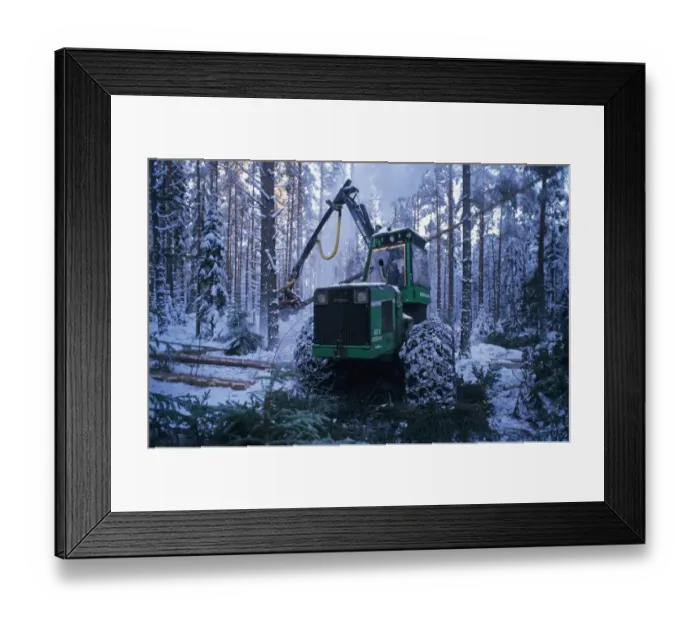 Framed Print : Forestry machine with chains on tyres, felling pine trees in snow covered plantation, Sweden, november Framed Print : Forestry machine with chains on tyres, felling pine trees in snow covered plantation, Sweden, november