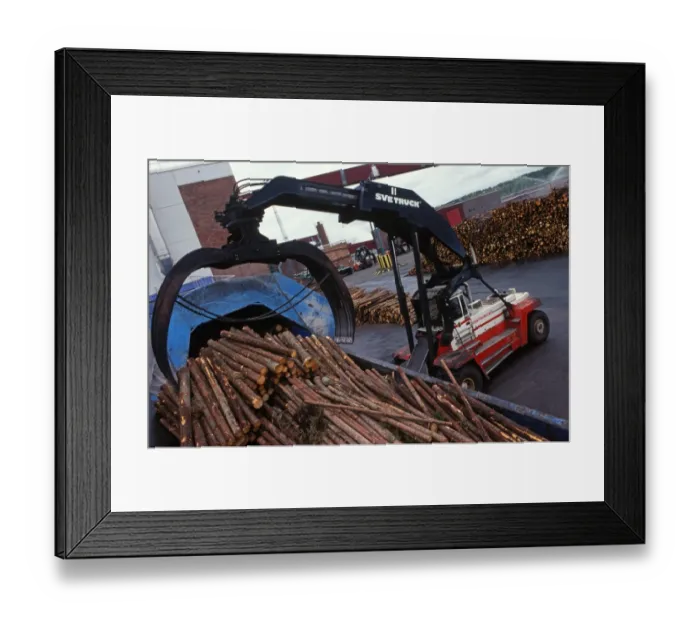 Framed Print : Logs loaded in pulp mill with Svetruck TMF forklift grapple, Sweden
