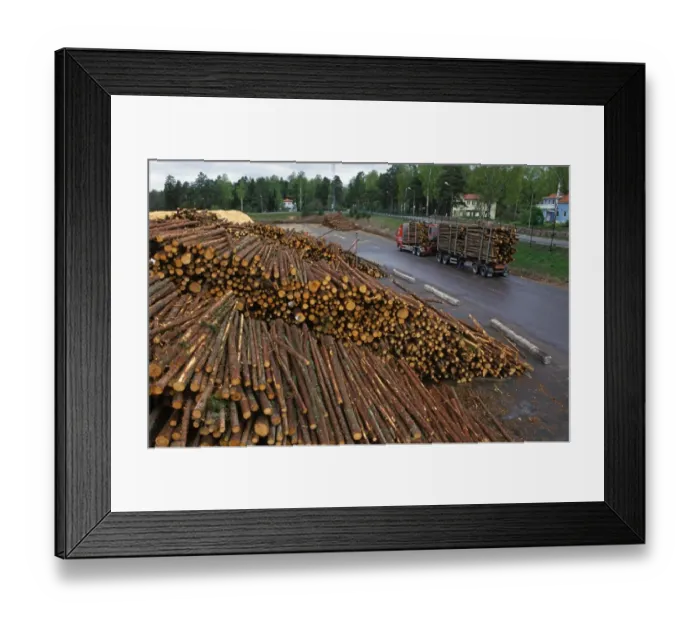 Framed Print : Pile of felled logs and transport lorry at pulp mill, Sweden