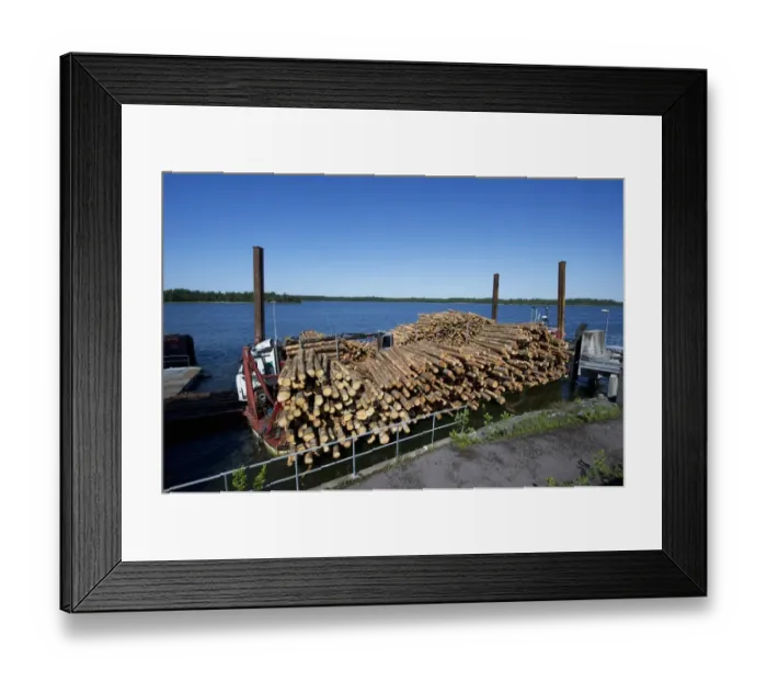 Framed Print : Lorry with grapple loading logs onto timber barge, Archipelago Sea, Baltic Sea, Sweden, june Framed Print : Lorry with grapple loading logs onto timber barge, Archipelago Sea, Baltic Sea, Sweden, june