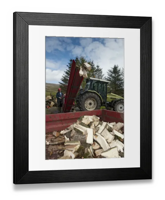 Framed Print : Stack of firewood coming from tractor powered sawbench and splitter, Cumbria, England, May Framed Print : Stack of firewood coming from tractor powered sawbench and splitter, Cumbria, England, May