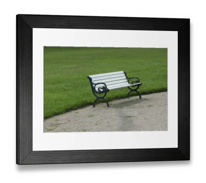 Framed Print : Park bench at edge of lawn, Sweden, june Framed Print : Park bench at edge of lawn, Sweden, june