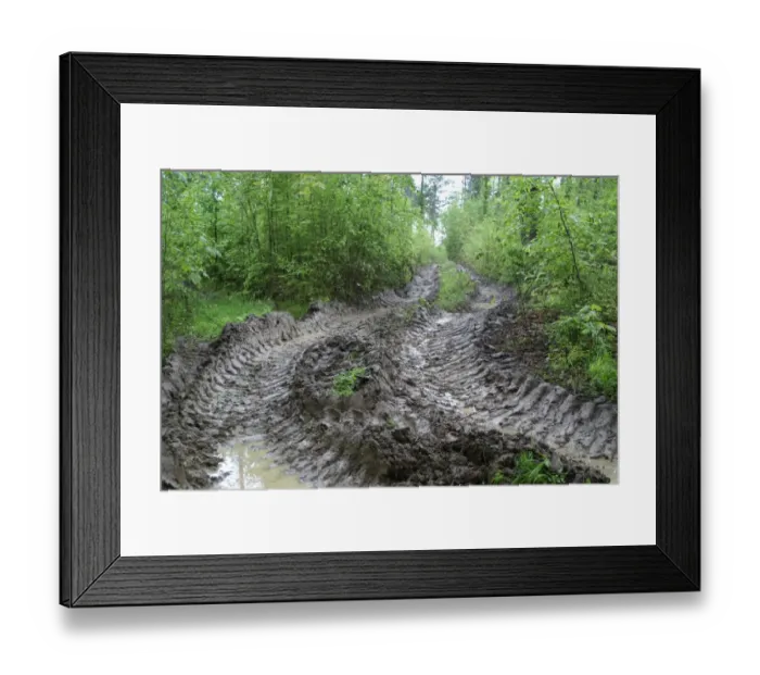 Framed Print : Vehicle tracks in woodland, disturbance to World War One battlefield caused by tree extraction, Verdun Battlefield Framed Print : Vehicle tracks in woodland, disturbance to World War One battlefield caused by tree extraction, Verdun Battlefield