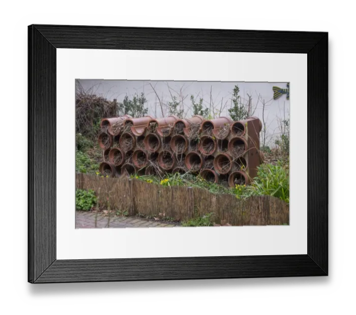 Framed Print : Wildlife habitat in city community garden, Thornhill Bridge Community Garden, Islington, London, England, March Framed Print : Wildlife habitat in city community garden, Thornhill Bridge Community Garden, Islington, London, England, March