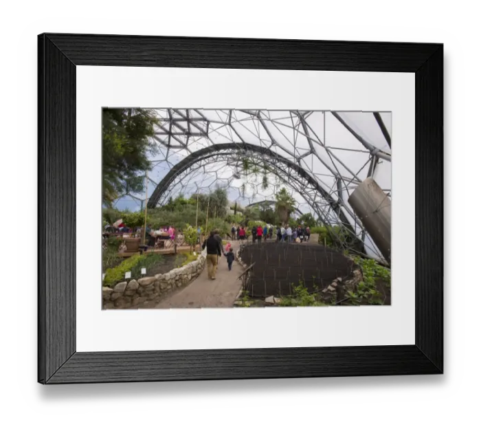 Framed Print : Tourists inside Mediterranean biome, Mediterranean Biome, Eden Project, Cornwall, England, May Framed Print : Tourists inside Mediterranean biome, Mediterranean Biome, Eden Project, Cornwall, England, May