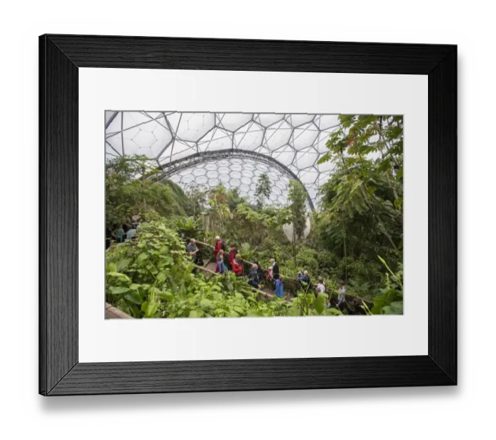 Framed Print : Tourists inside humid rainforest biome, Rainforest Biome, Eden Project, Cornwall, England, May Framed Print : Tourists inside humid rainforest biome, Rainforest Biome, Eden Project, Cornwall, England, May