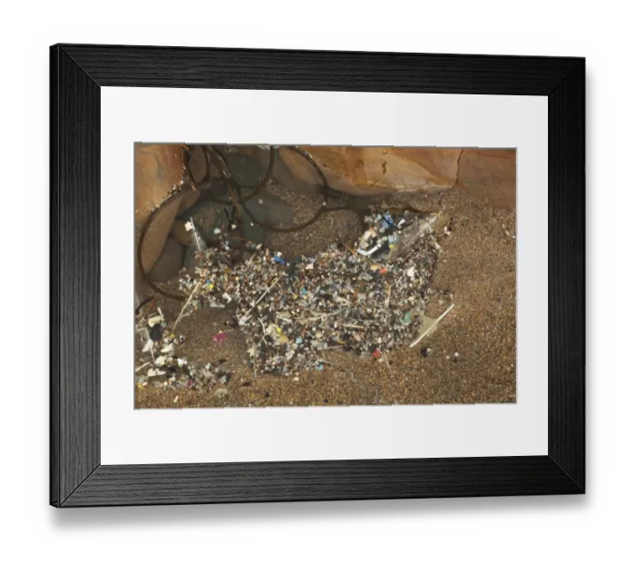 Framed Print : Nurdles, plastic pellets and other broken down plastic debris in shallow pool on beach, Bude, Cornwall, England Framed Print : Nurdles, plastic pellets and other broken down plastic debris in shallow pool on beach, Bude, Cornwall, England