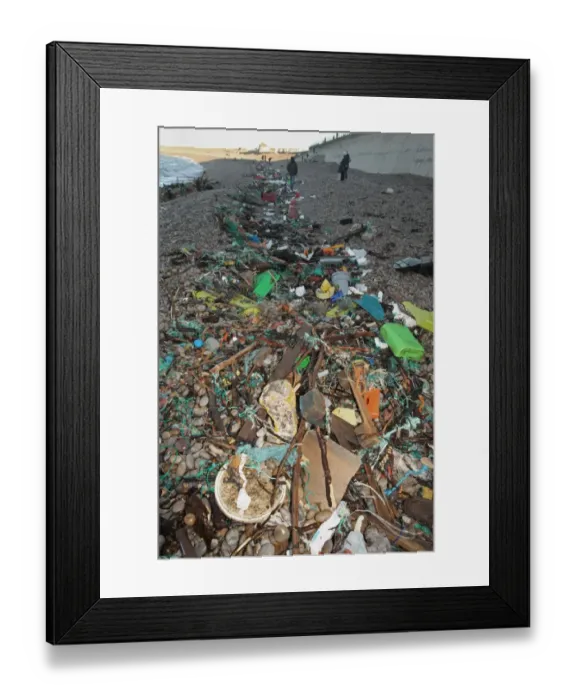Framed Print : Plastic rubbish washed up on beach strandline, Chesil Beach, Dorset, England, January Framed Print : Plastic rubbish washed up on beach strandline, Chesil Beach, Dorset, England, January