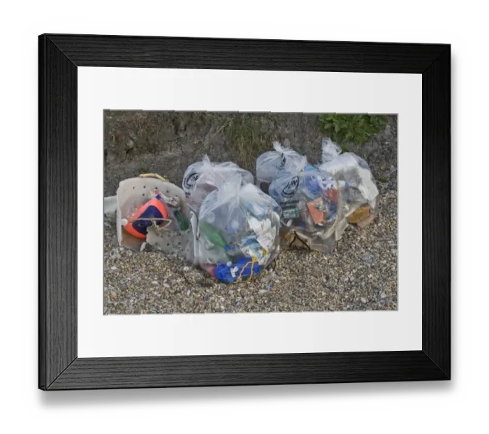 Framed Print : Rubbish collected from waste disposal and recycling from beach, Dorset, England, April Framed Print : Rubbish collected from waste disposal and recycling from beach, Dorset, England, April