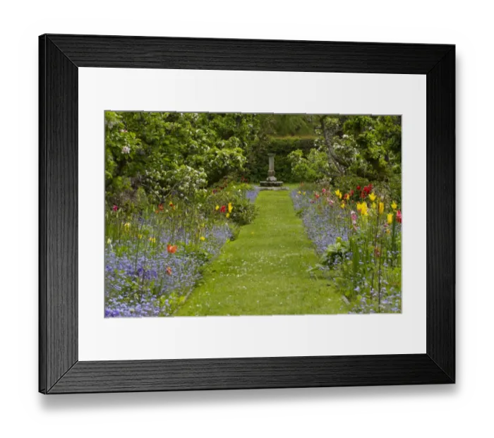 Framed Print : View of garden with apple orchard and planted flower borders beside grass path, Herefordshire, England, May Framed Print : View of garden with apple orchard and planted flower borders beside grass path, Herefordshire, England, May
