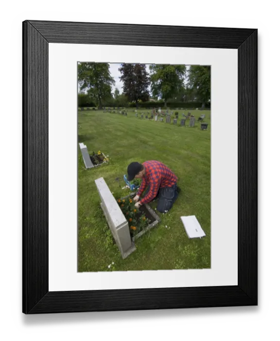 Framed Print : Gardener planting flowers on grave in graveyard, Tierp, Uppsala, Sweden Framed Print : Gardener planting flowers on grave in graveyard, Tierp, Uppsala, Sweden