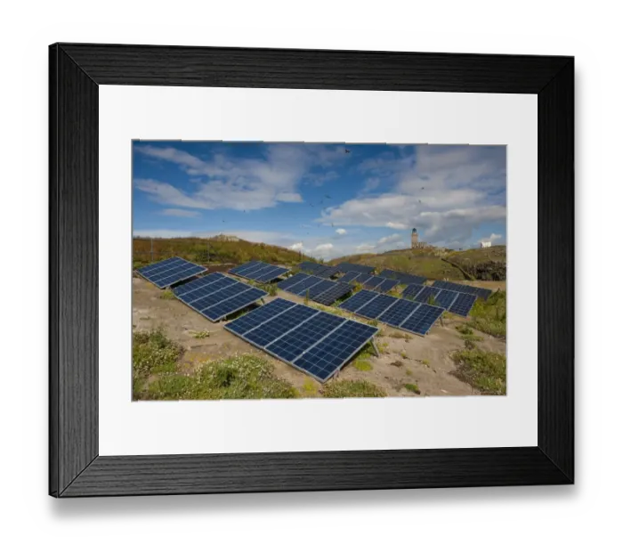 Framed Print : Solar panels gererating electricity to power lighthouse, with Atlantic Puffin (Fratercula arctica) flock in flight Framed Print : Solar panels gererating electricity to power lighthouse, with Atlantic Puffin (Fratercula arctica) flock in flight