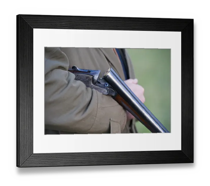 Framed Print : Man holding loaded 12 bore shotgun, broken and held in crook of arm, on gamebird shoot in upland, Yorkshire Dales Framed Print : Man holding loaded 12 bore shotgun, broken and held in crook of arm, on gamebird shoot in upland, Yorkshire Dales