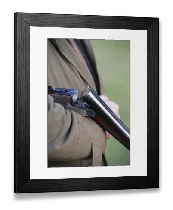 Framed Print : Man holding loaded 12 bore shotgun, broken and held in crook of arm, on gamebird shoot in upland, Yorkshire Dales Framed Print : Man holding loaded 12 bore shotgun, broken and held in crook of arm, on gamebird shoot in upland, Yorkshire Dales