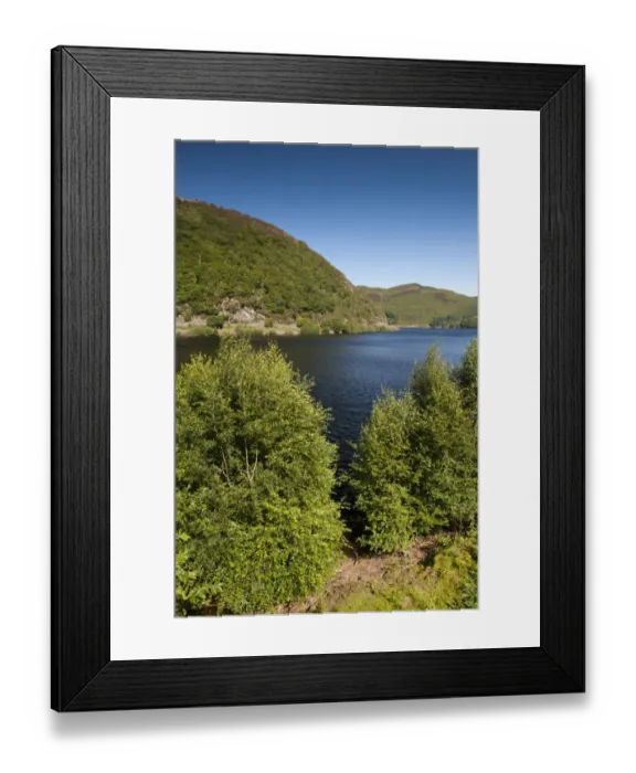 Framed Print : View of manmade reservoir, Caban Coch Reservoir, Elan Valley, Powys, Wales, July