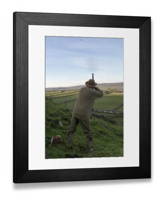 Framed Print : Man using 12 bore shotgun, on gamebird shoot in upland, Yorkshire Dales, Yorkshire, England, November