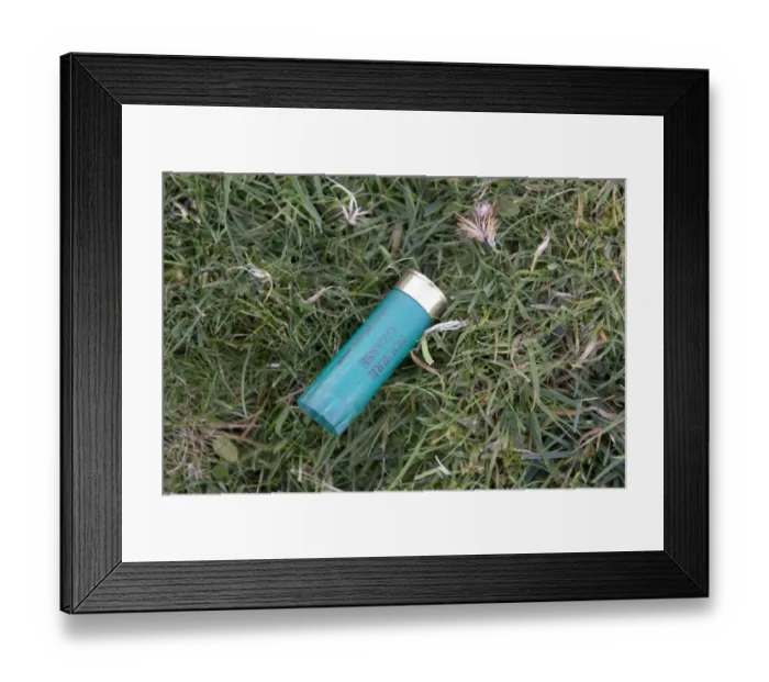 Framed Print : Empty 12 bore shotgun cartridge on ground after gamebird shoot, England, November Framed Print : Empty 12 bore shotgun cartridge on ground after gamebird shoot, England, November